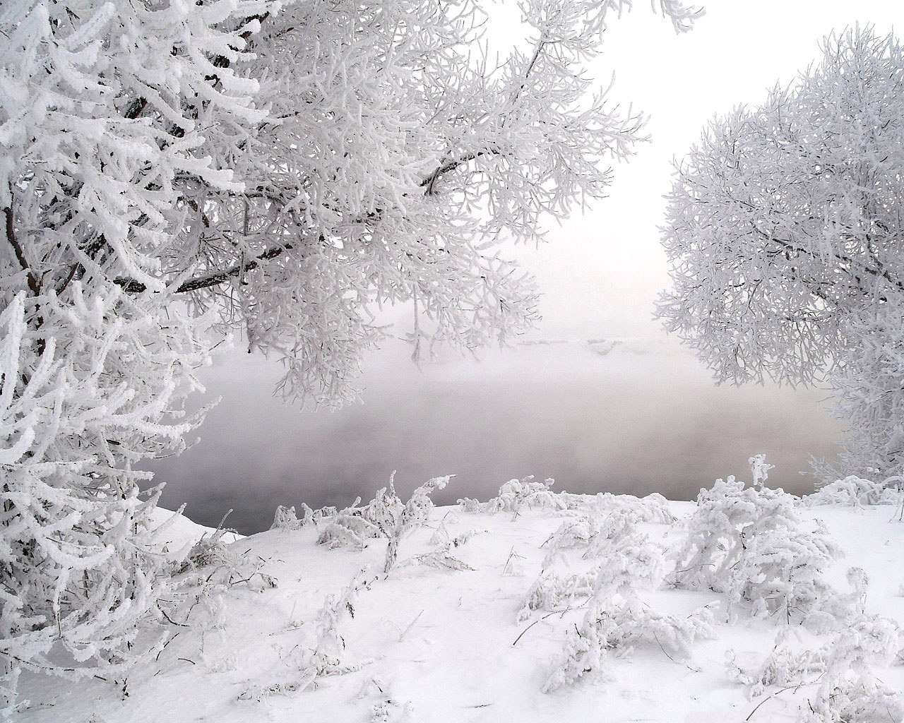 Белый снег слепит глаза. Снег. Зимний пейзаж. Белый снег. Белая зима.