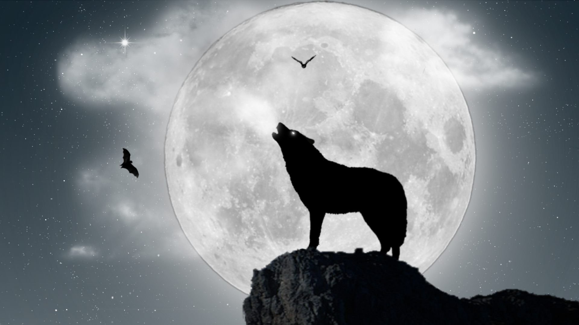Волки воют на луну песни. Воющий волк картинки красивые.