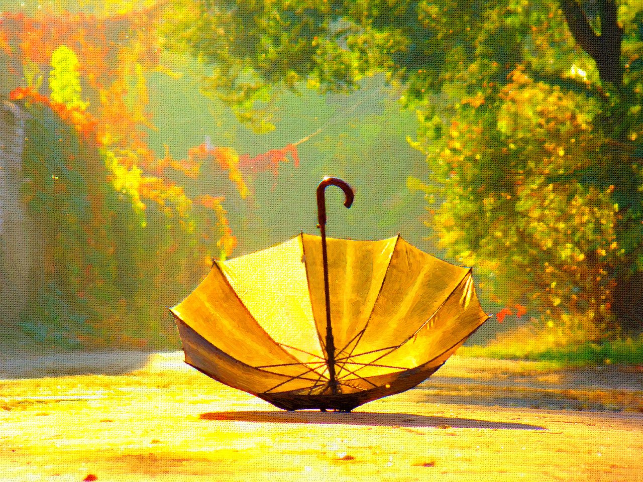 Обои зонтика. Зонтик. Осень зонтик. Натюрморт с зонтиком. Осенний зонт.