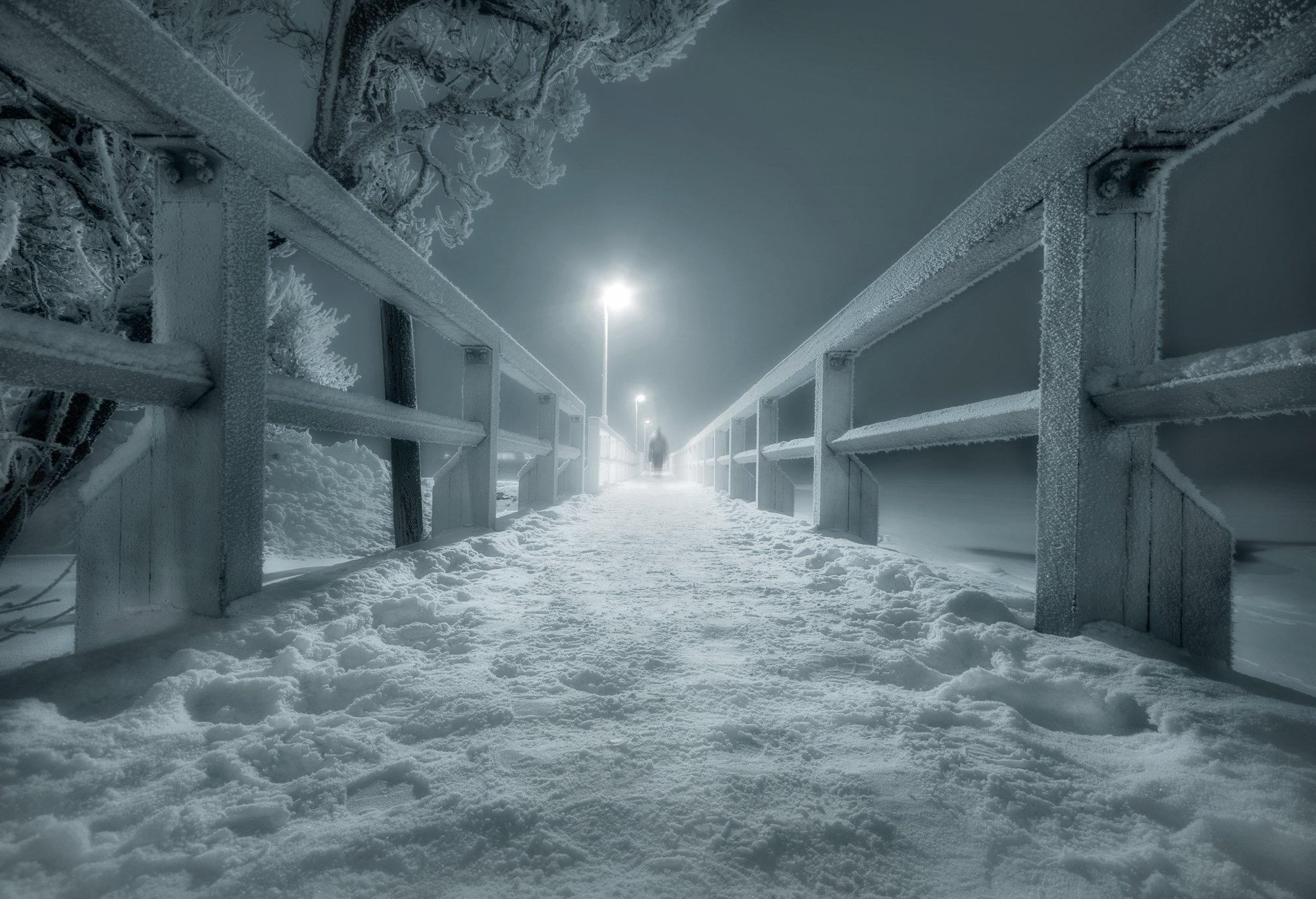 Микко Лагерстедт фотограф зима