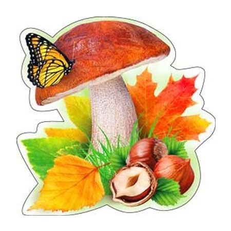 Осенние грибы для детей