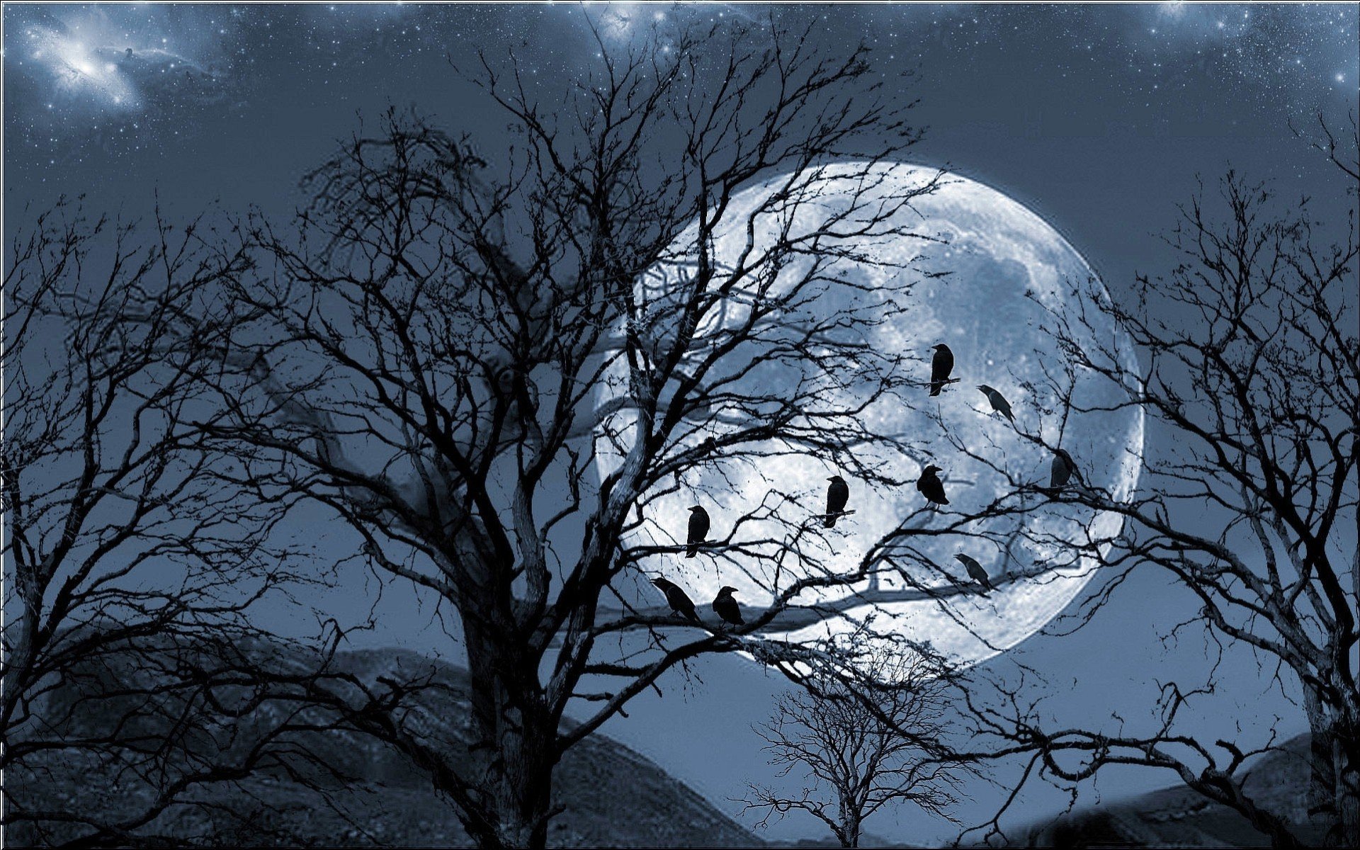 Луна сквозь деревья. Пейзаж с луной. Дерево в лунном свете. Одинокое дерево на фоне Луны.