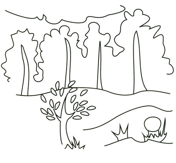 Осенняя раскраска