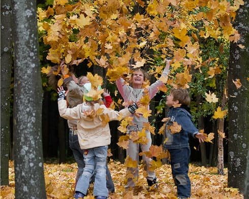 Безопасность на осенних каникулах