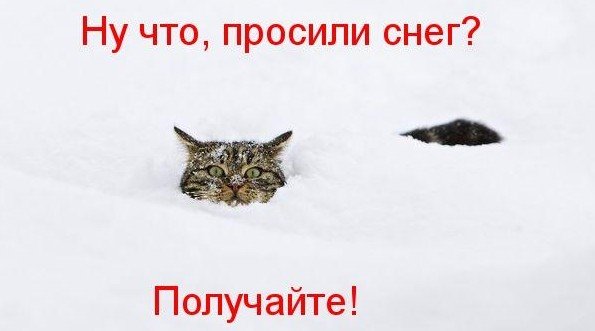 Кто просил снега