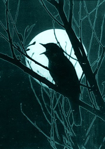 Соловьиная ночь