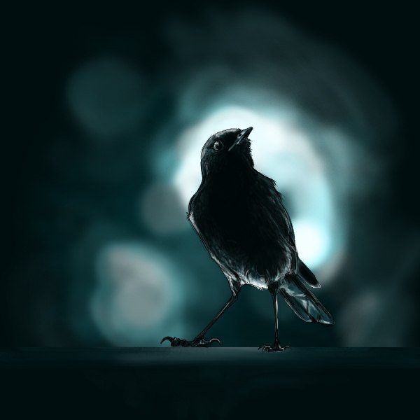 Соловей темный