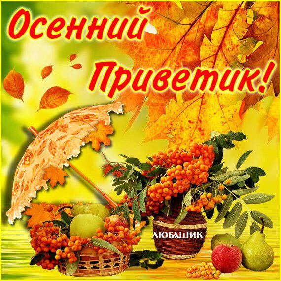 Открытки осенний приветик