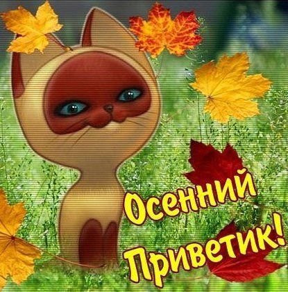 Осенний приветик настроения
