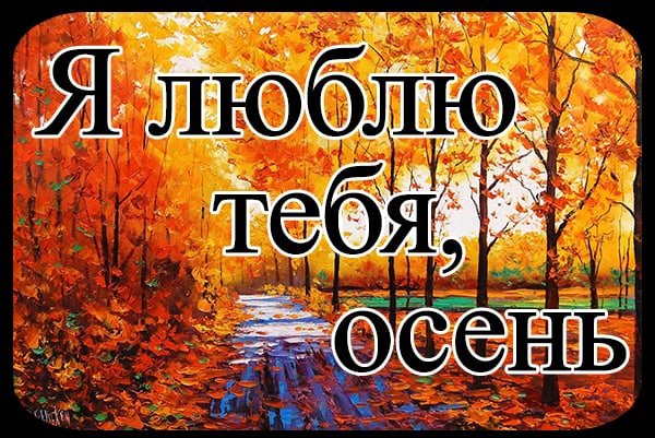 Я люблю осень