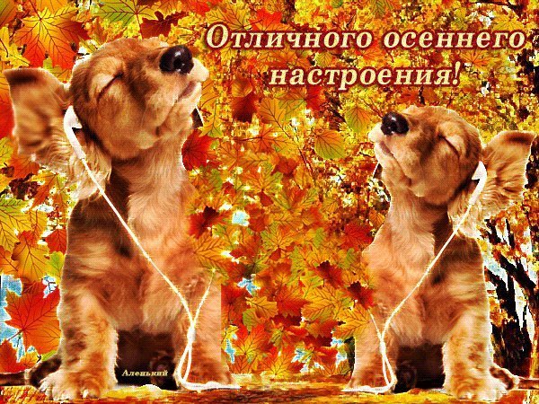 Удачной осени и хорошего настроения