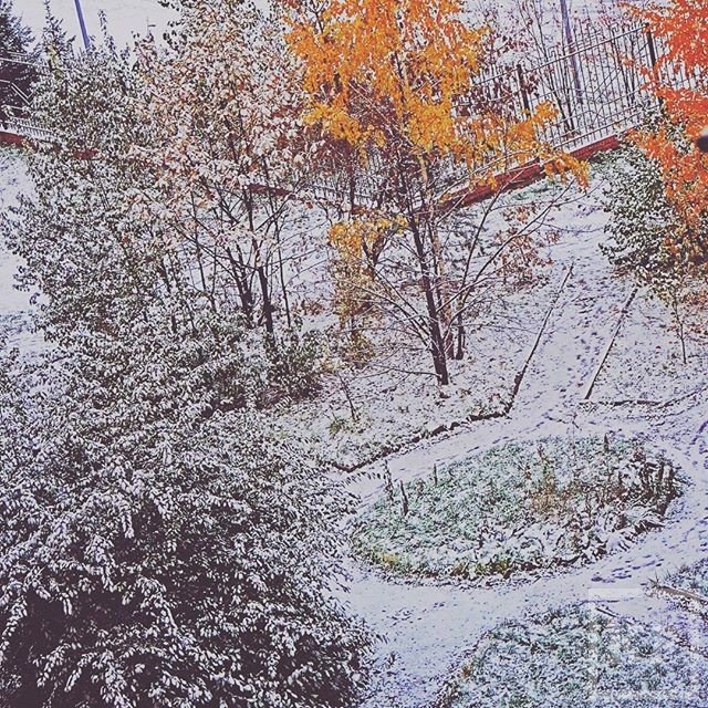 Наступила зима и выпал первый снег. Выпал первый снег. Иллюстрация выпал первый снег. Писадж первого снега. Выпал первый снег рисунок.