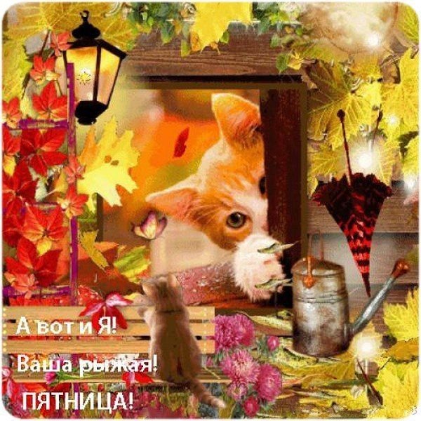 С добрым осенним утром пятницы
