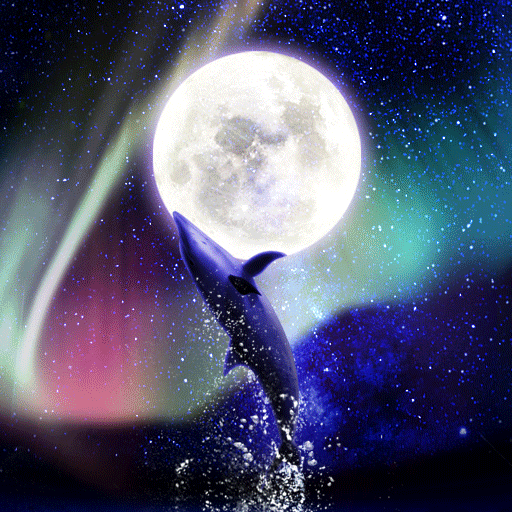 Луна дельфины