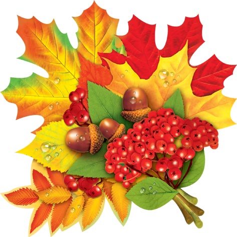 Осенние листья для украшения группы детского сада