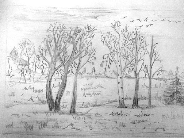 Рисунок осень простым карандашом