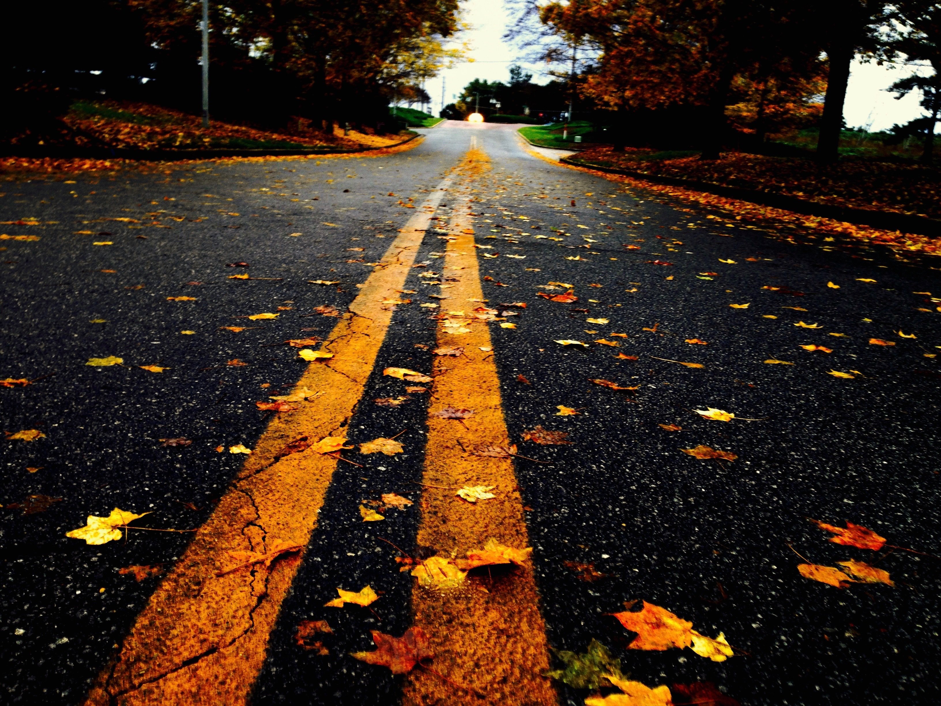 Осенний останавливаться. Дорога в осень. Листья на дороге. Листья на асфальте. Красивый асфальт.