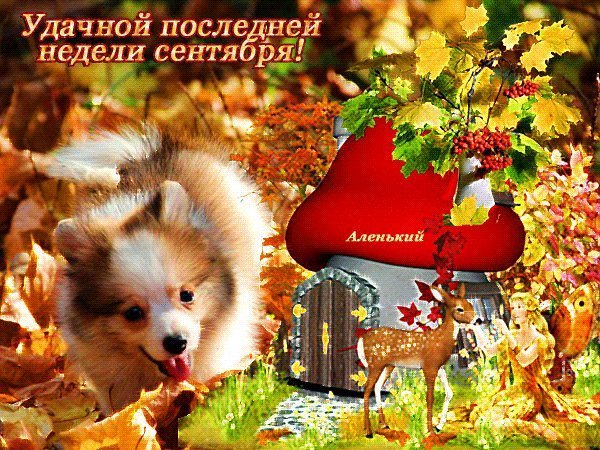 С последней неделей сентября