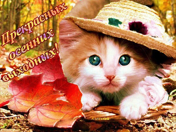 Отличных выходных и хорошего настроения осень