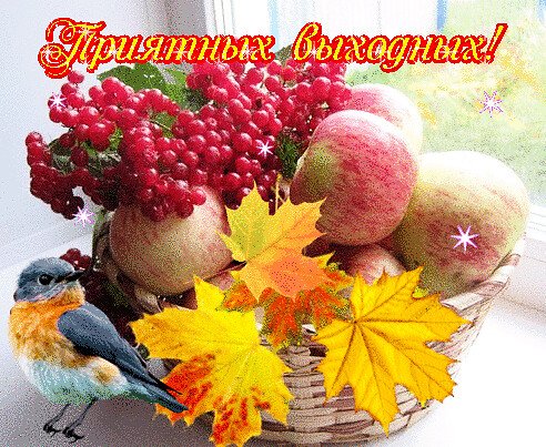 Замечательных осенних выходных