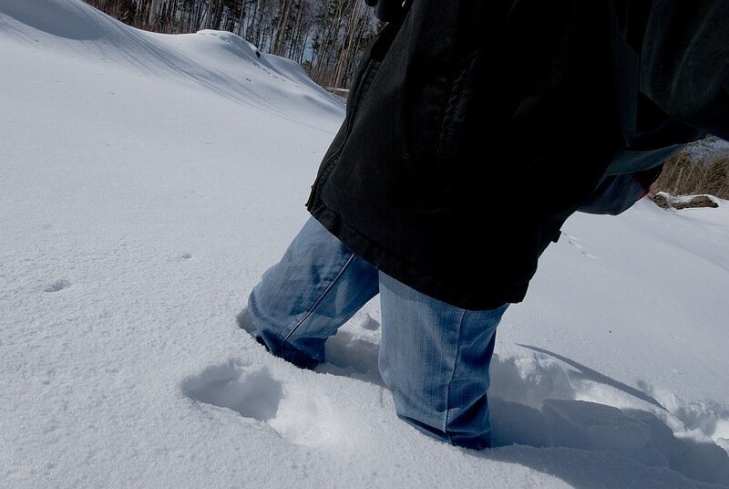 Сугробы по колено. Снег по колено. Нога в снегу по колено. Человек по колено в снегу.