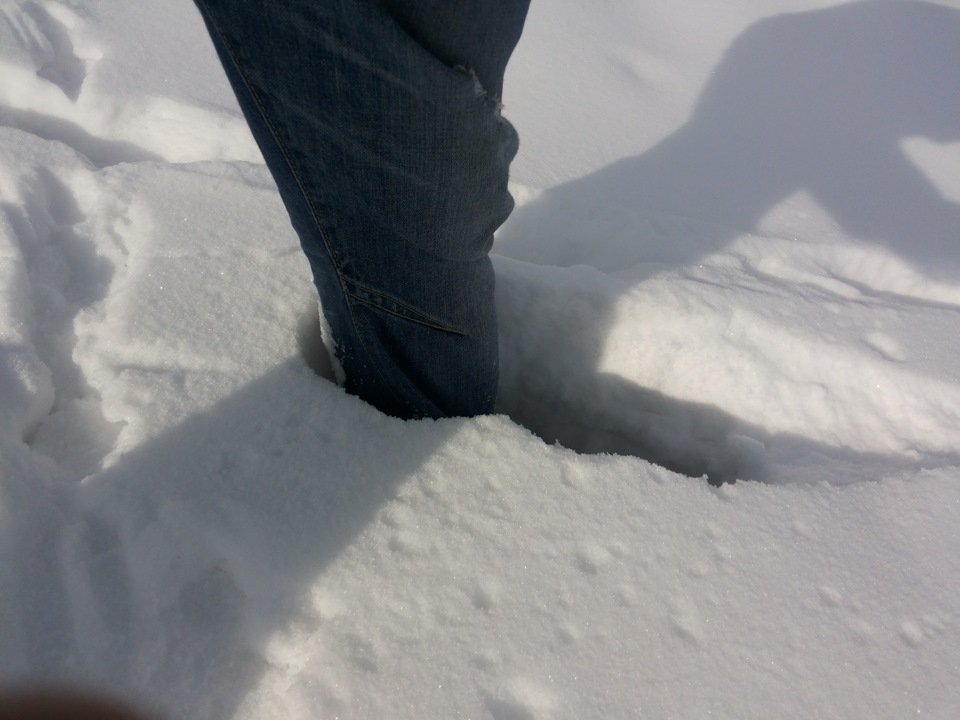 Сугробы по колено. Снег по колено. Нога в снегу по колено. Снег до колен.