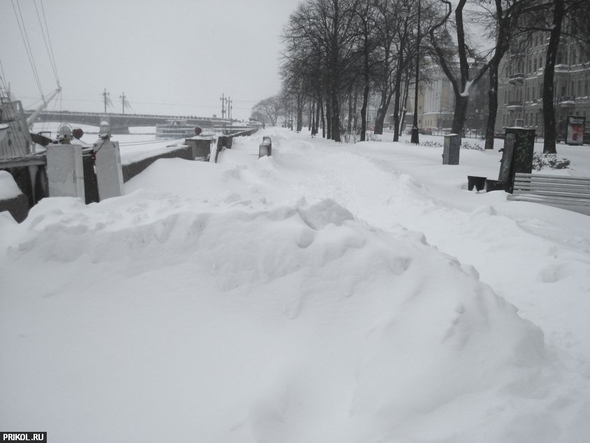 Сугробы по колено. Завалы снега СПБ. Питер завалило снегом. Снегопад в Петербурге. Санкт-Петербург зима 2009.