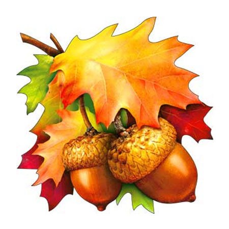 Желудь с листочком