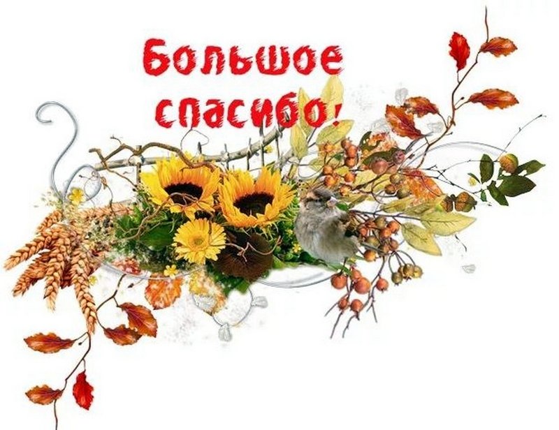 Осеннее Спасибо Гифки