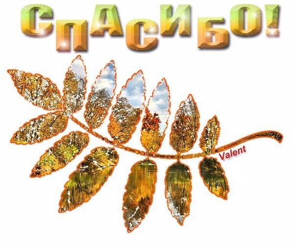 Открытки спасибо осенние