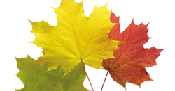 Спасибо осень