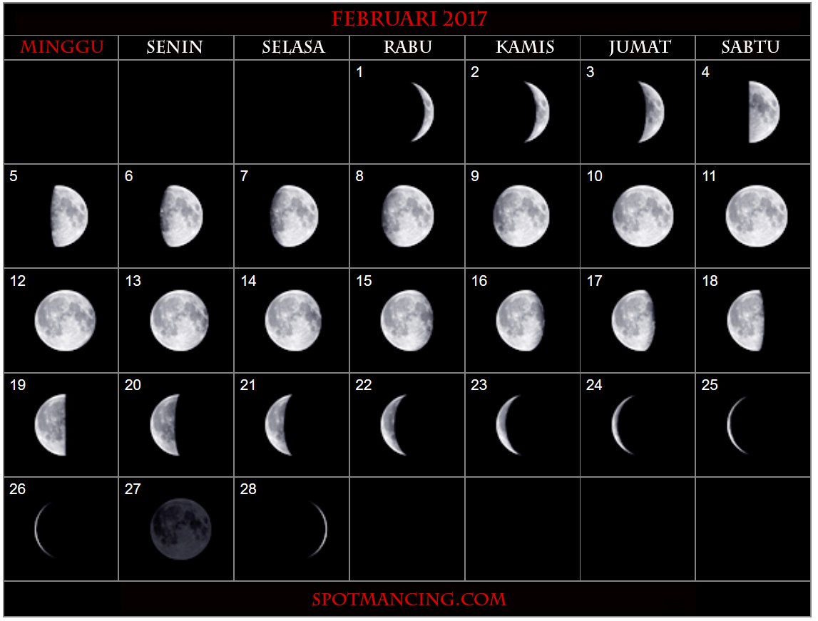 Луна прогноз 2024. Фазы Луны 2024. Фазы Луны в феврале 2024. Фазы Луны в январе 2016.