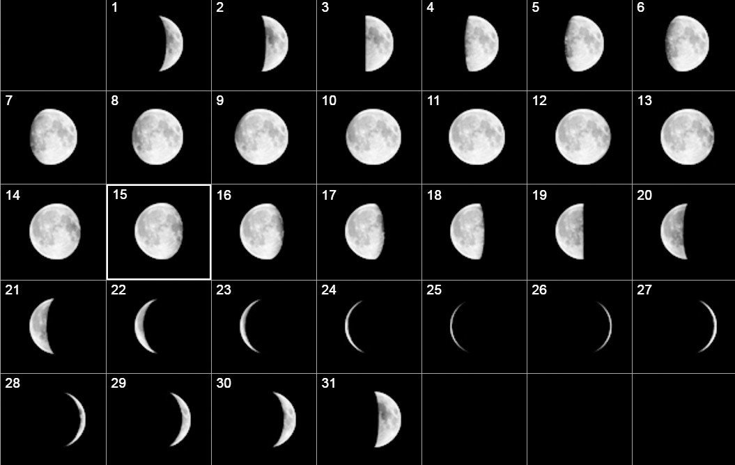 Фаза луны сегодня тюмень. Фазы Луны контурный рисунок. Кольцо фазы Луны. Луна 27. Фазы Луны 2024.