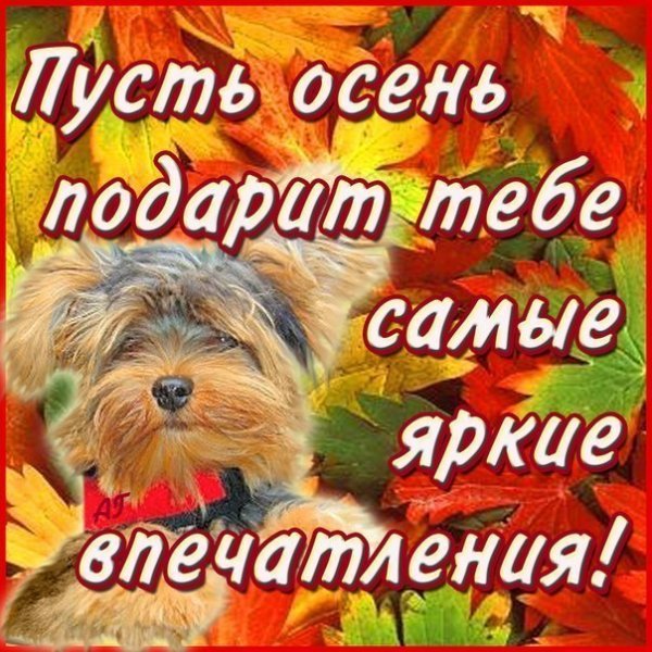 Открытки пусть осень будет теплой