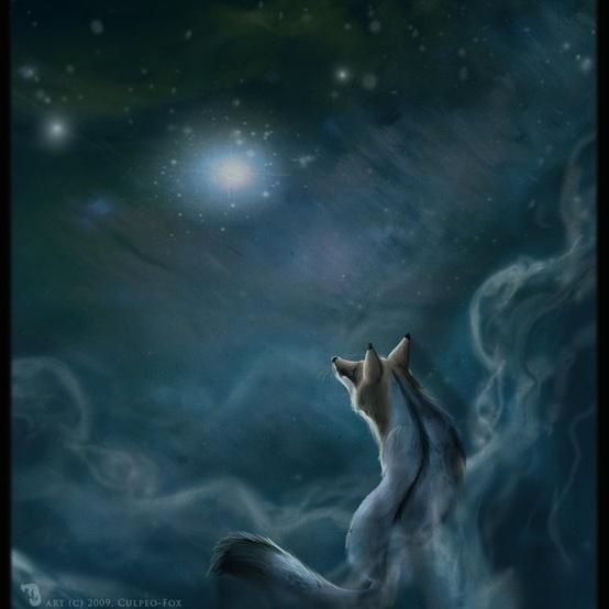 Лисы с луной