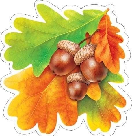 Осенние листья для украшения группы детского сада