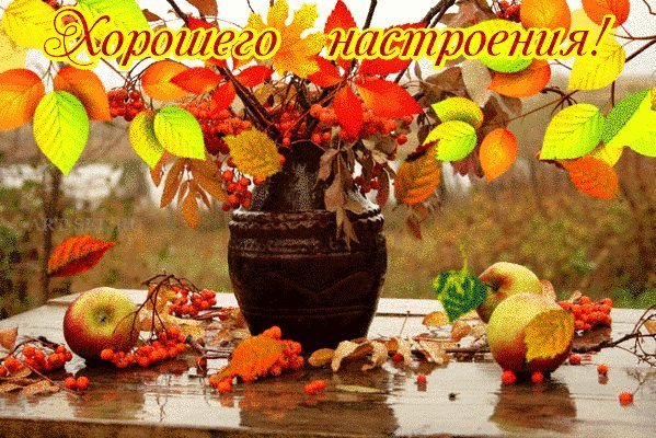 Хороших осенних выходных и отличного настроения