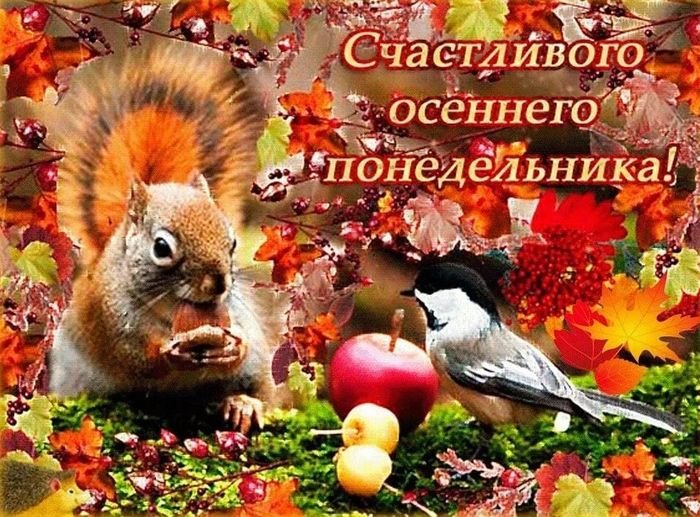 С Добрым Осенним Четвергом Картинки Красивые