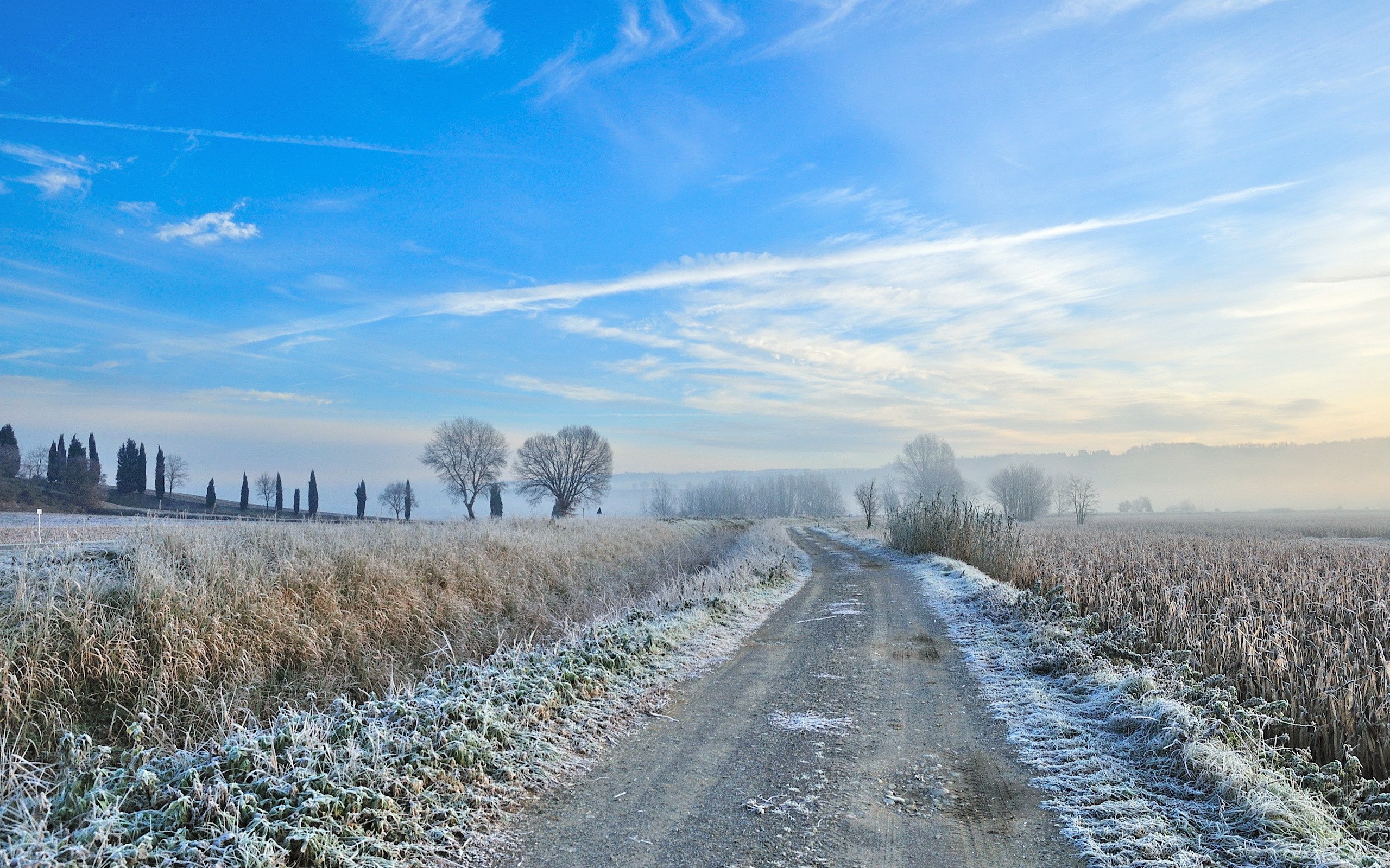Зимнее утро дорога. Зимнее поле. Ранняя зима. Заснеженное поле.