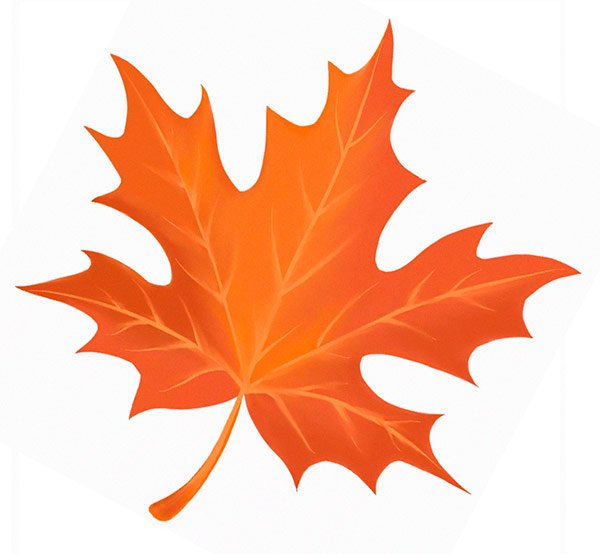 Осенние листочки мультяшные