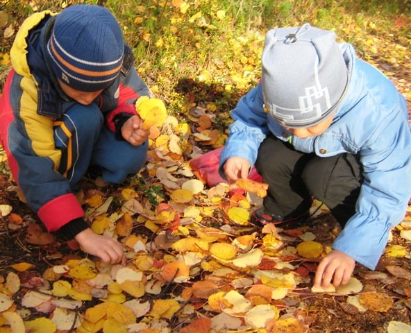 Дети собирают листья