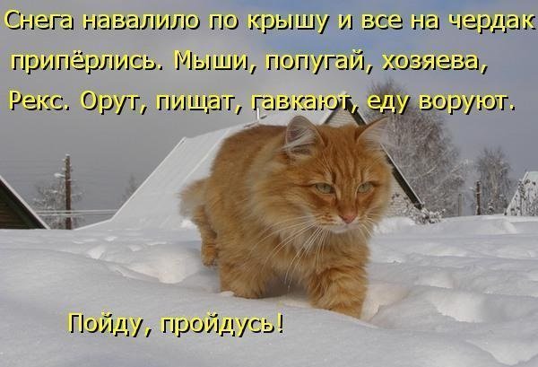 Снега навалило