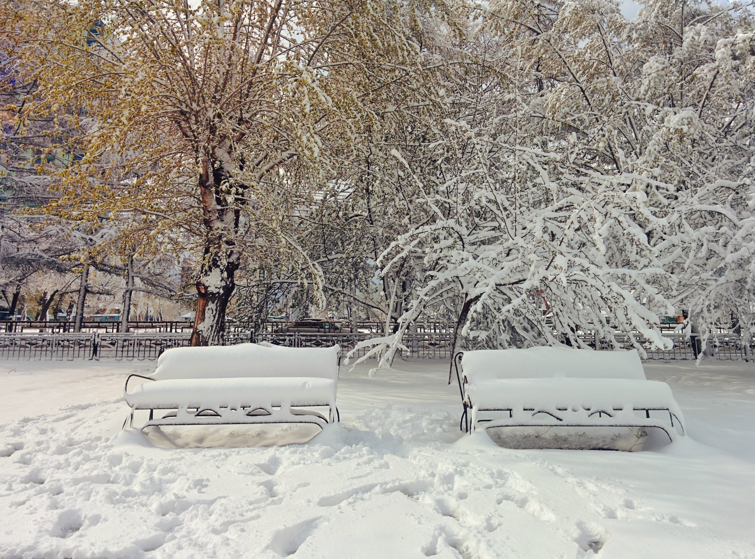 В россии выпадет снег. Снежный двор. Снегопад. Зима двор. Снежное утро.