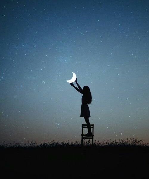 Тянется к звездам