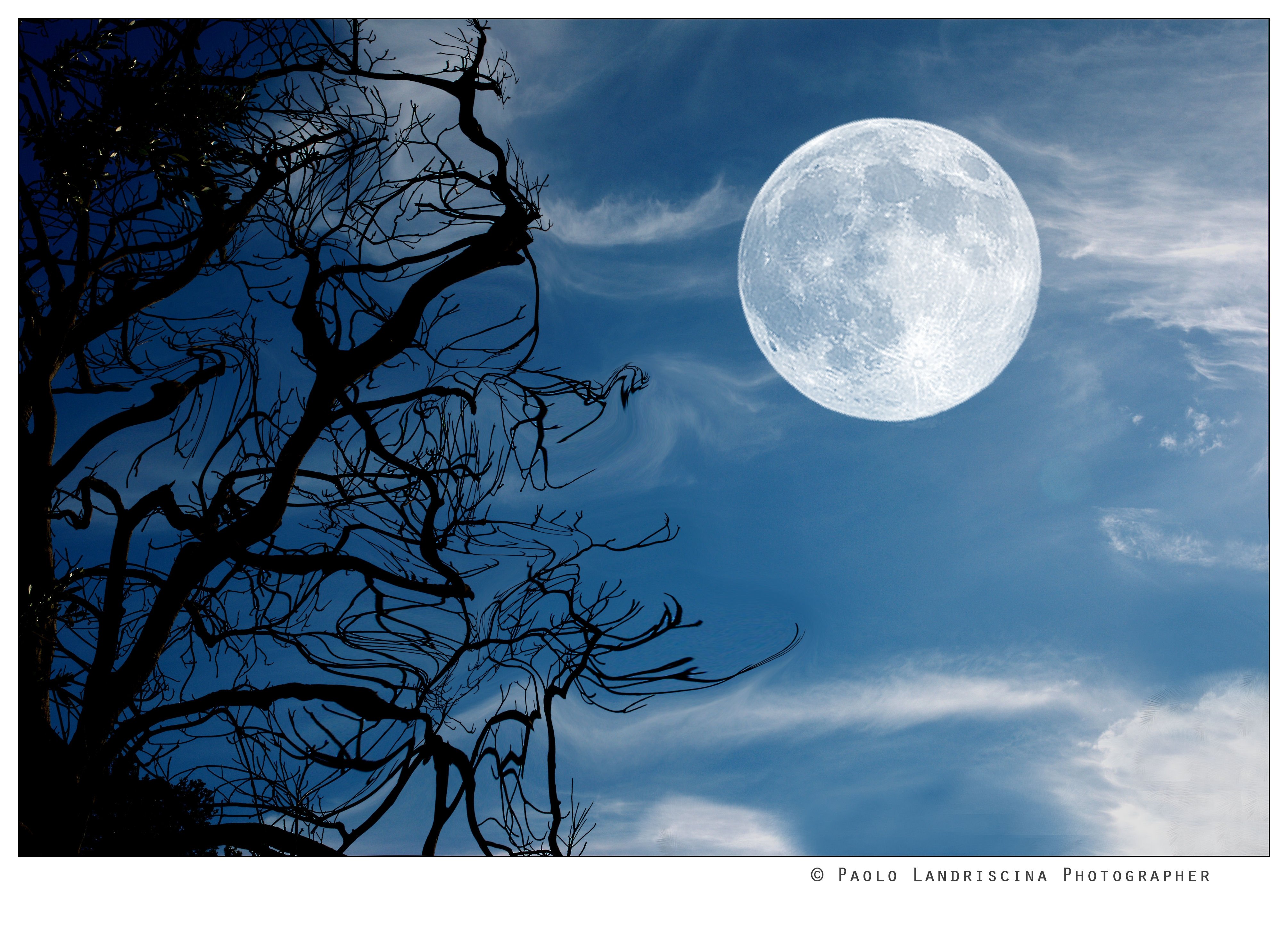 Полнолуние небо. Луна. Большая Луна. Красивая Луна. Лунное небо.
