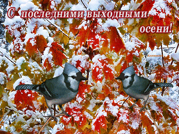 С роследними выходнымт осени