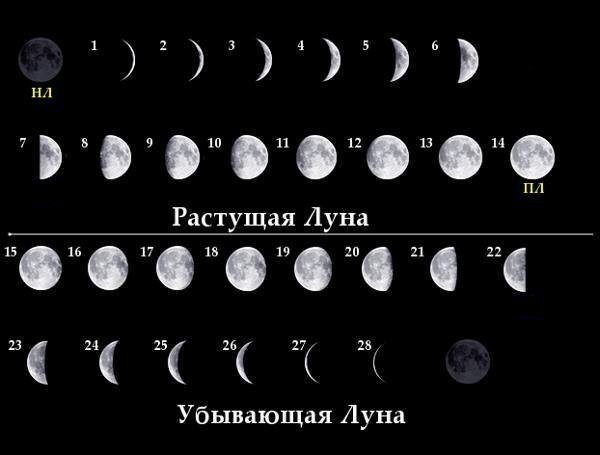 Расьцщая и Цбывающая лцна