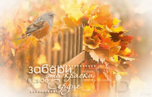 Счастливого солнечного осеннего дня