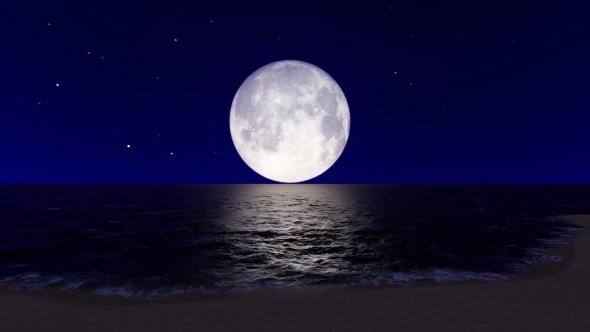 Море лун группа