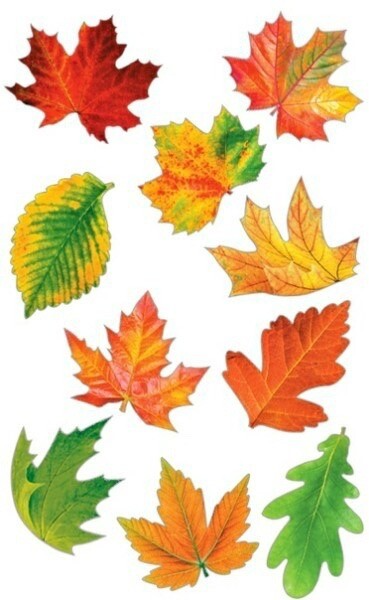 Листья для детского сада